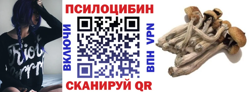 Галлюциногенные грибы Magic Shrooms  blacksprut рабочий сайт  Черкесск 